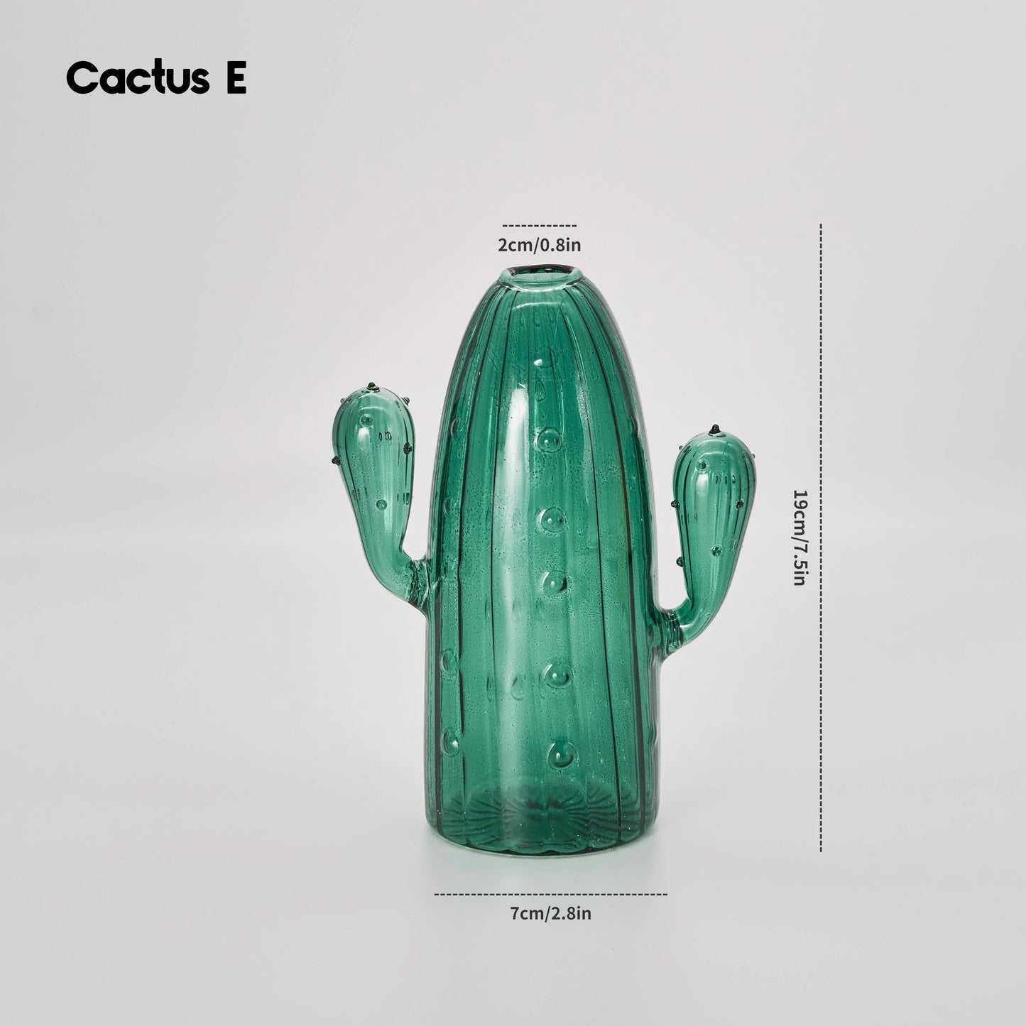 Unique Desert Glass Vase