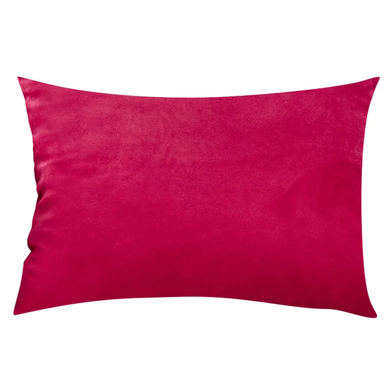 Soft Velvet Pillow in Bright Pastel Colors for Home
