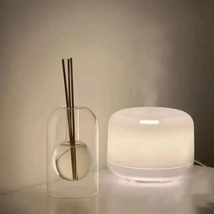 Luxury Glass Essential Oil Diffuser Bottle - Befez