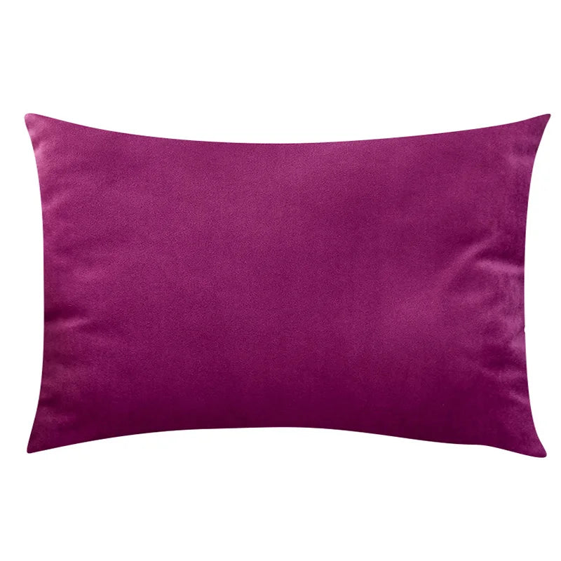 Soft Velvet Pillow in Bright Pastel Colors for Home