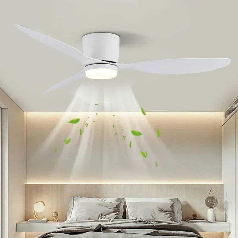 Modern Ceiling Fan With LED Light