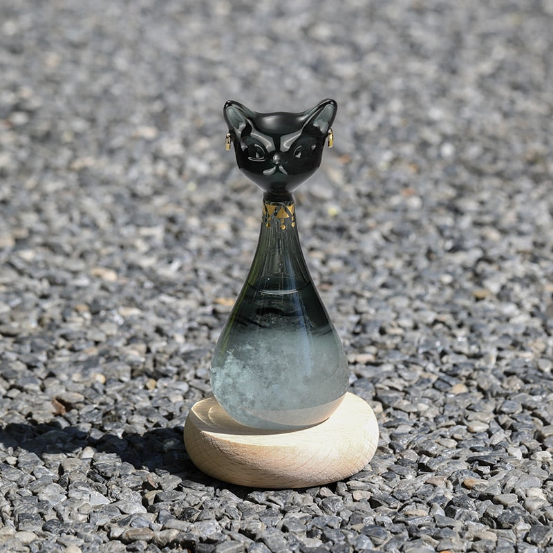 Whimsical Kitty Weather Station Bottle
