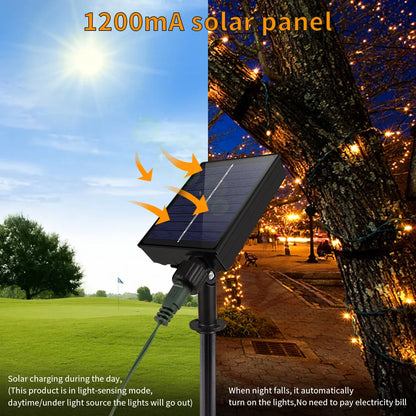 Outdoor Solar Fairy Lights 100M Waterproof Remote Control - Befez