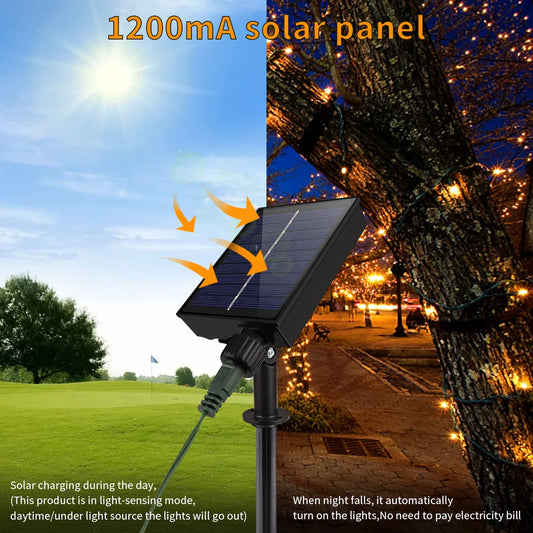 Outdoor Solar Fairy Lights 100M Waterproof LED Decoration - Befez