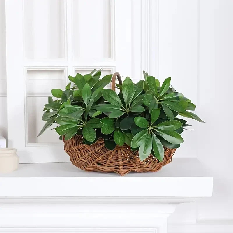 Realistic Indoor Plant with Stem and Green Leaves