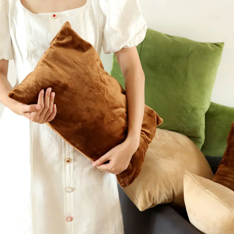 Soft Velvet Pillow in Bright Pastel Colors for Home