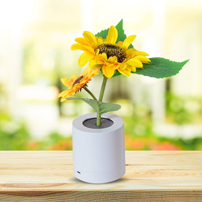 Bright Solar Powered Table Lamp