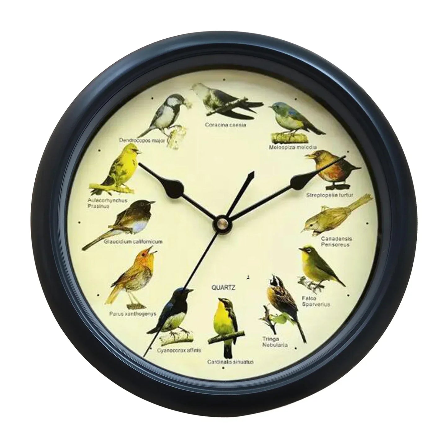 Decorative 10 Inch Bird Song Wall Clock