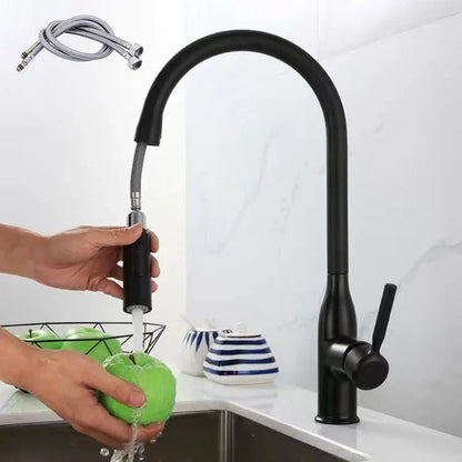 Premium Kitchen Faucet with Adjustable Hand Sprayer - Befez