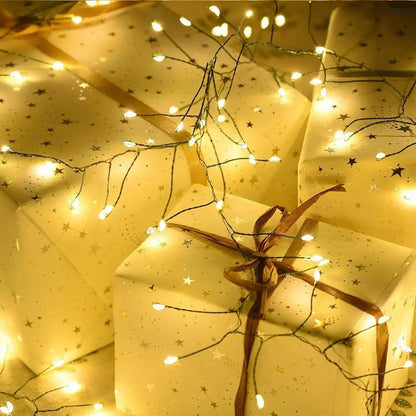 Colorful LED Fairy Lights with Remote Control