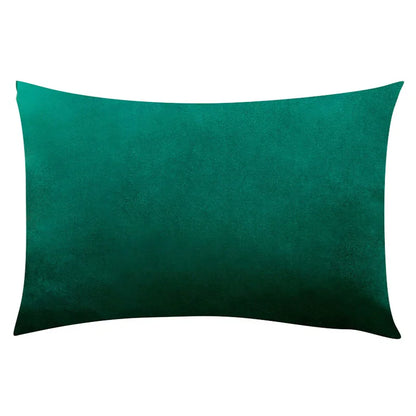 Soft Velvet Pillow in Bright Pastel Colors for Home