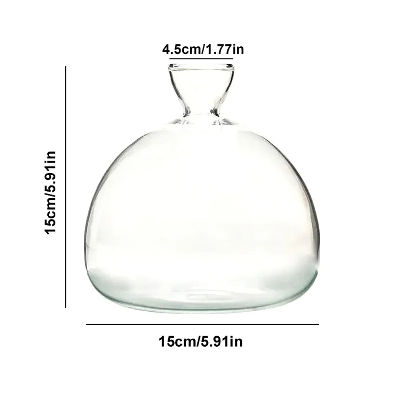 Clear Glass Avocado Planter Vase