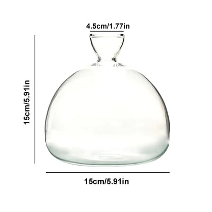 Clear Glass Avocado Planter Vase