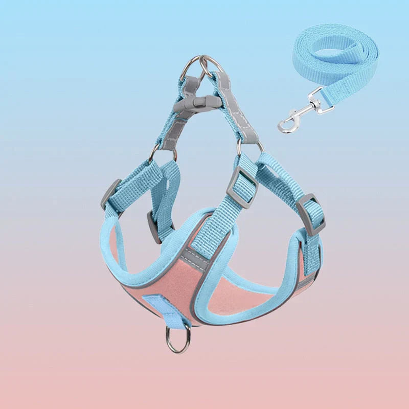 Visible Dog Vest - Safe Puppy Harness