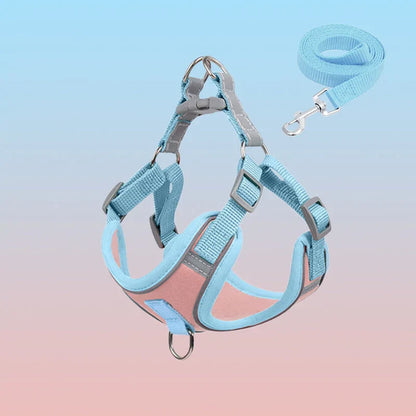 Visible Dog Vest - Safe Puppy Harness