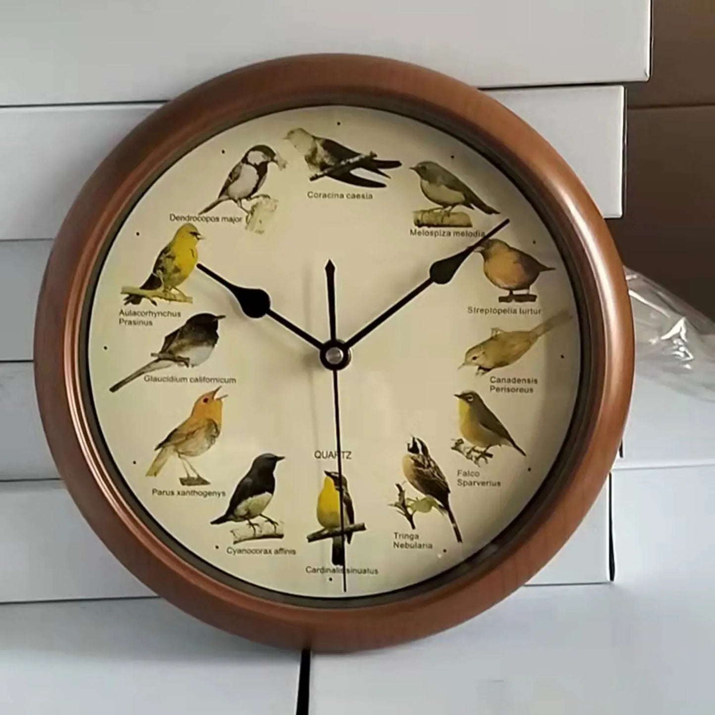 Decorative 10 Inch Bird Song Wall Clock