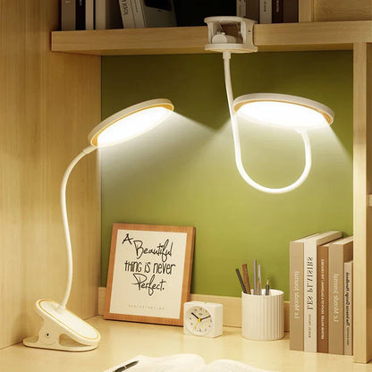 Portable LED Desk Lamp with Battery and Soft Light