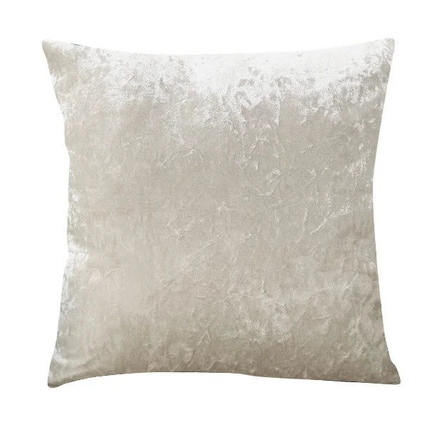 Plush Velvet Accent Pillow for Home Decor