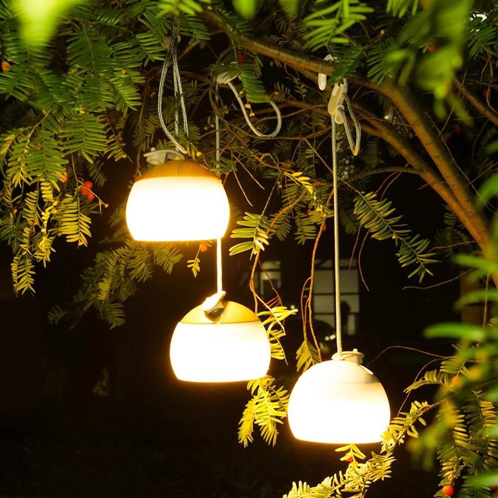 Portable LED Camp Light with USB Charger