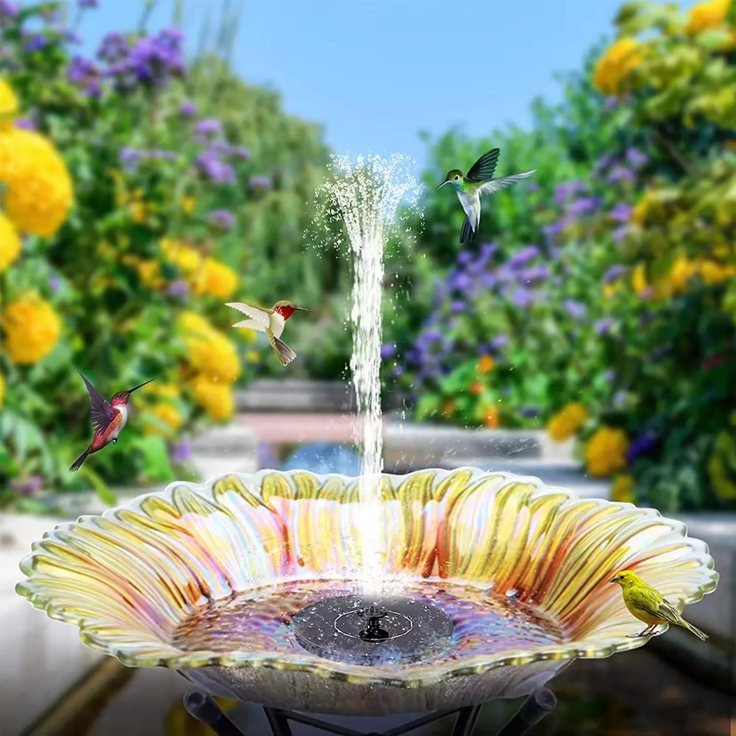 Sunny Solar Powered Bird Fountain
