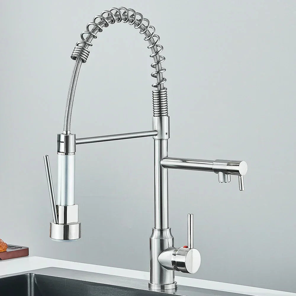 Contemporary Dual Spout Kitchen Faucet