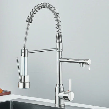 Contemporary Dual Spout Kitchen Faucet