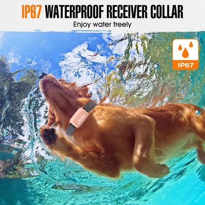 Waterproof Dog Training Collar with Remote Controller