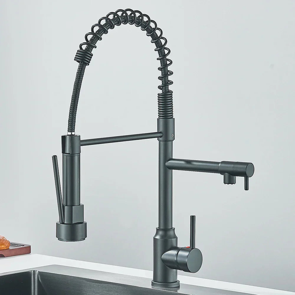 Contemporary Dual Spout Kitchen Faucet - Befez
