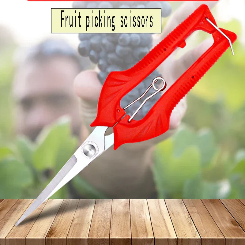 Sharp Garden Pruning Shears for Fruit Trees & Bonsai