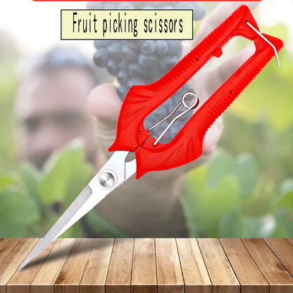 Sharp Garden Pruning Shears for Fruit Trees & Bonsai