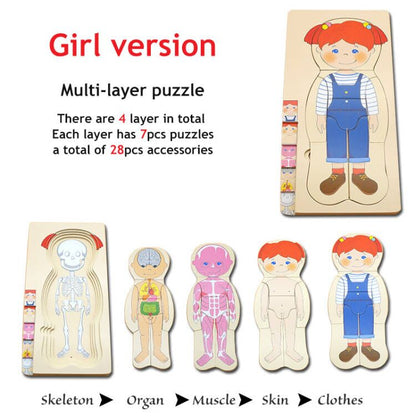 3D Interactive Human Body Model Kit