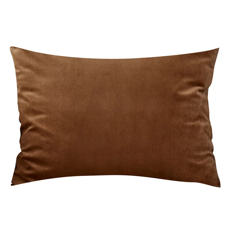 Soft Velvet Pillow in Bright Pastel Colors for Home