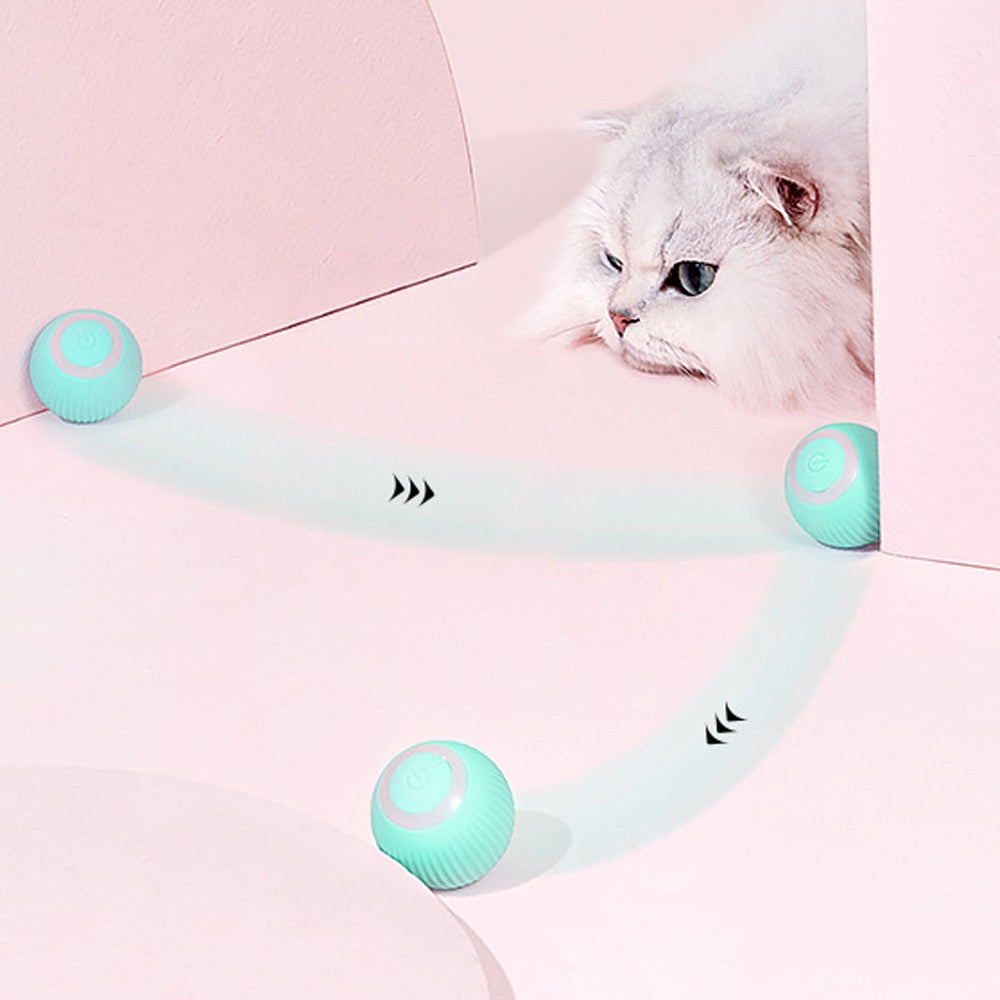 Fun Interactive Automatic Pet Ball - Befez