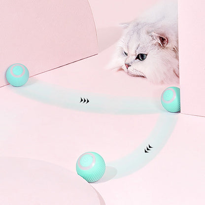 Fun Interactive Automatic Pet Ball - Befez