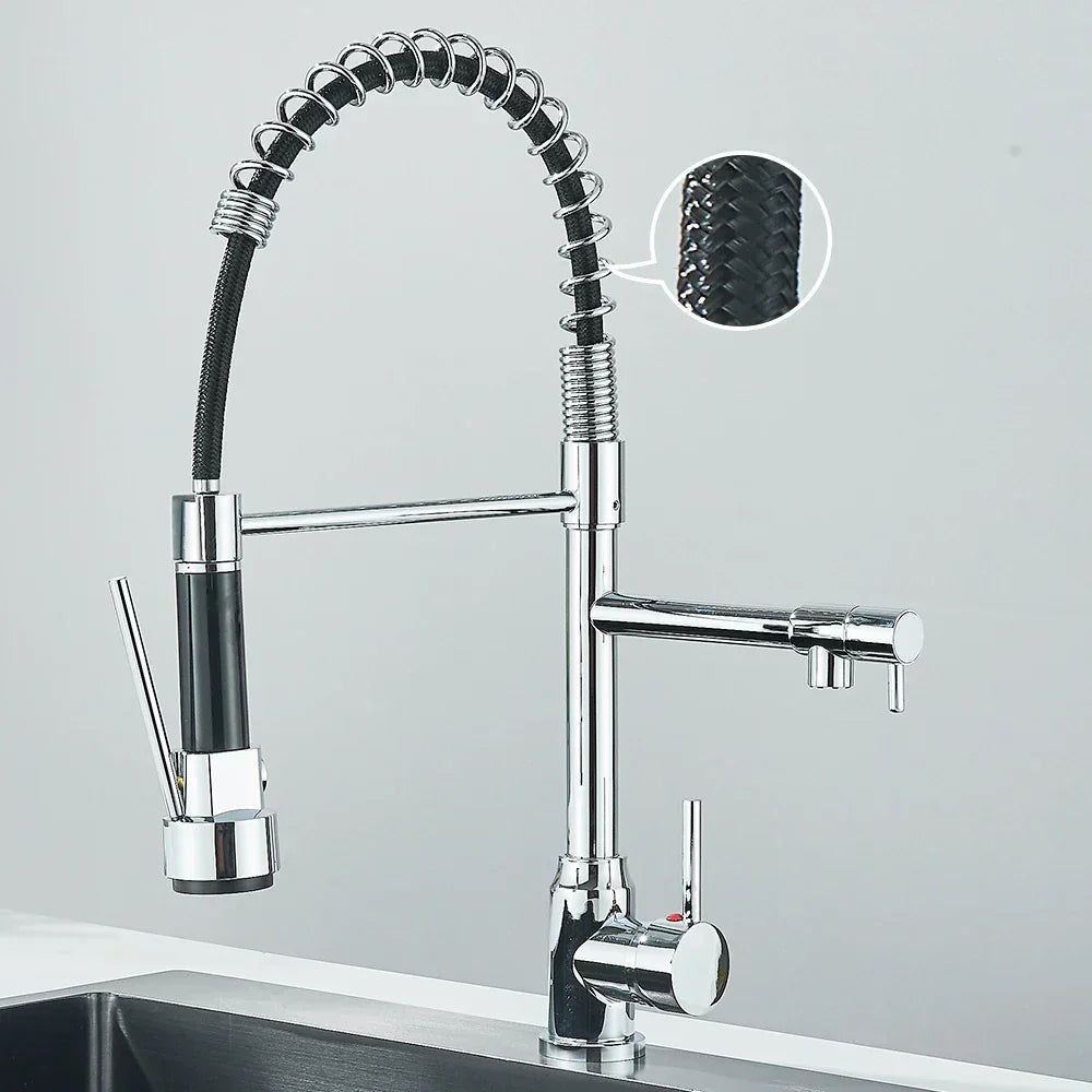 Contemporary Dual Spout Kitchen Faucet