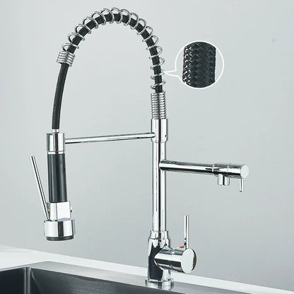 Contemporary Dual Spout Kitchen Faucet