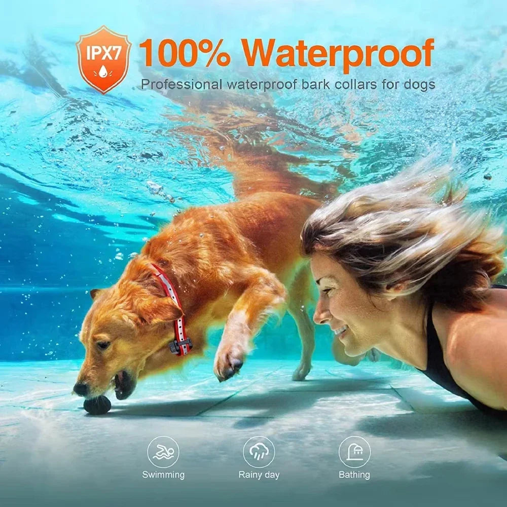 Waterproof Remote Dog Training Collar with 1000m Range