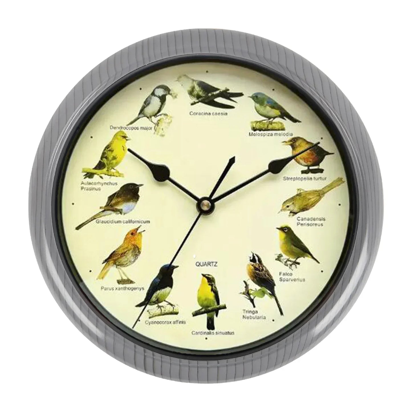 Decorative 10 Inch Bird Song Wall Clock
