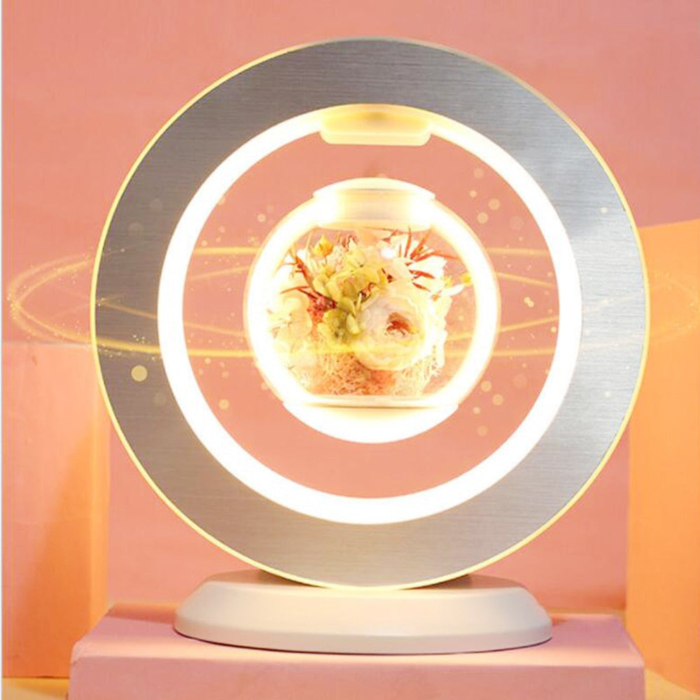 Floating Decorative LED Suspension Lamp