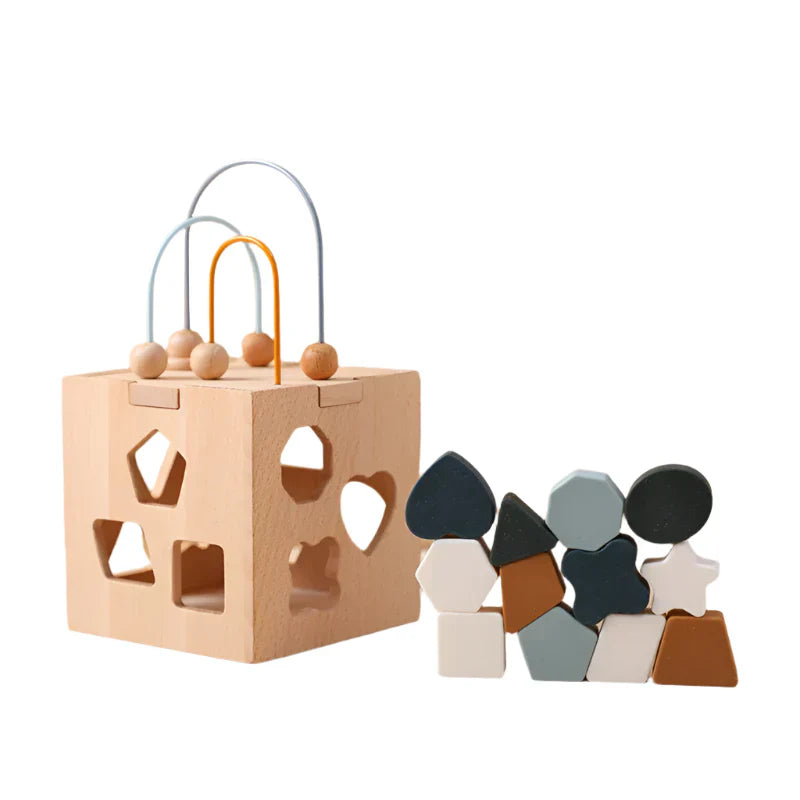 Educational Wooden Shape Sorting Toy Block - Befez
