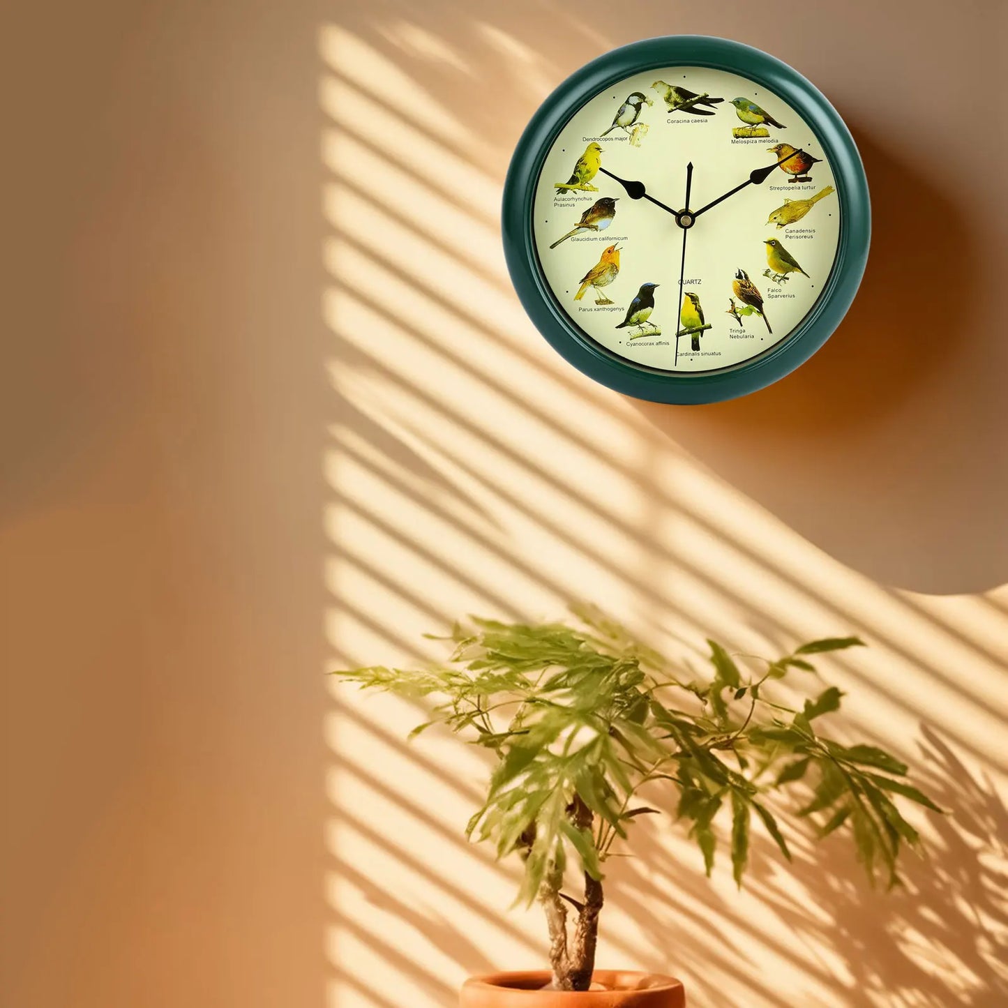 Decorative 10 Inch Bird Song Wall Clock