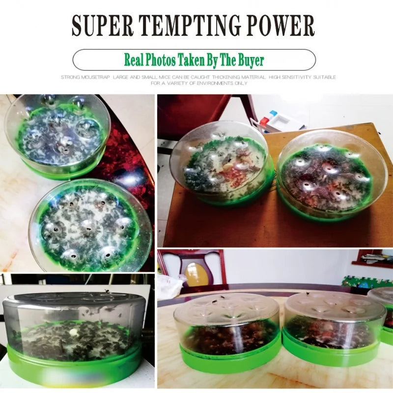 Natural Fly Catcher Trap with 7 Entrances