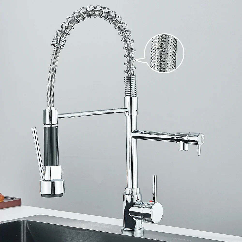 Contemporary Dual Spout Kitchen Faucet