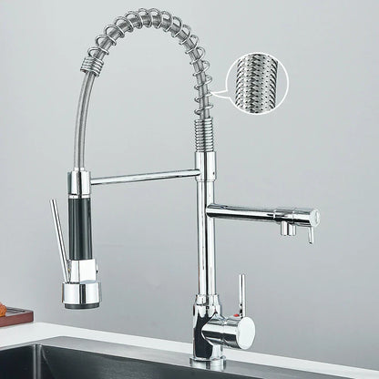 Contemporary Dual Spout Kitchen Faucet