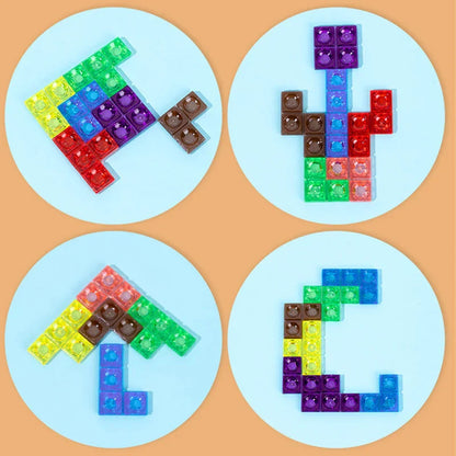 Classic Wooden 3D Puzzle Toy