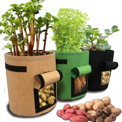 Large Garden Planters for Vegetables - Befez