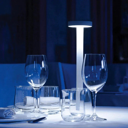 Premium Outdoor Wireless LED Garden Lamp