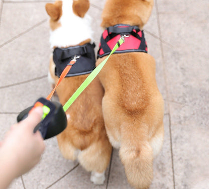 Best Dog Befez Solution
