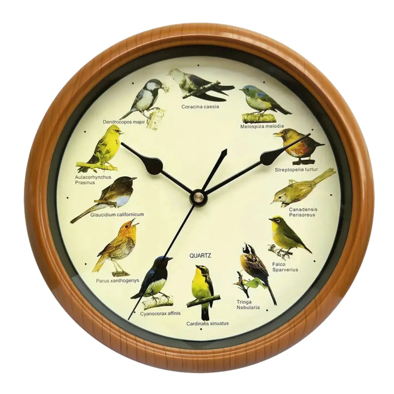 Decorative 10 Inch Bird Song Wall Clock - Befez