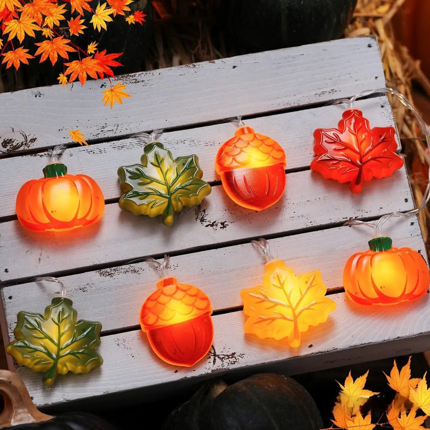 Warm White Halloween LED String Fairy Lights